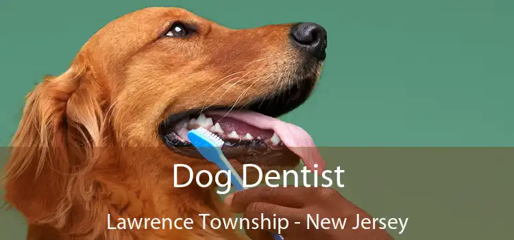 Dog Dentist Lawrence Township - New Jersey