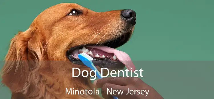 Dog Dentist Minotola - New Jersey