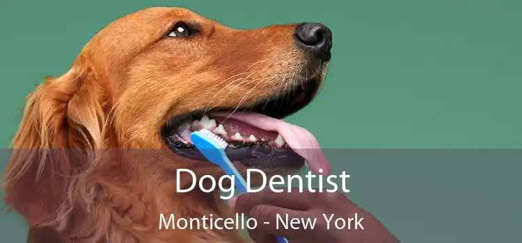 Dog Dentist Monticello - New York