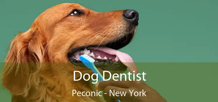 Dog Dentist Peconic - New York