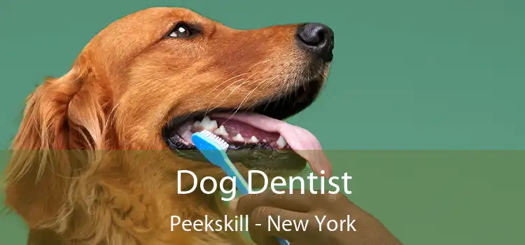 Dog Dentist Peekskill - New York