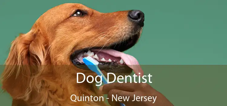 Dog Dentist Quinton - New Jersey