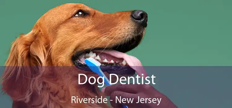 Dog Dentist Riverside - New Jersey