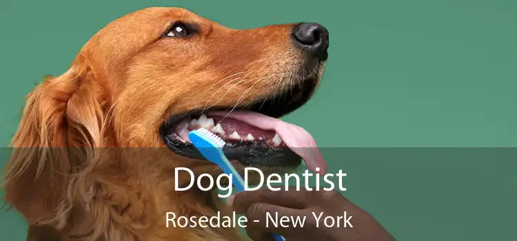 Dog Dentist Rosedale - New York