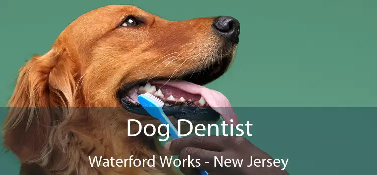 Dog Dentist Waterford Works - New Jersey