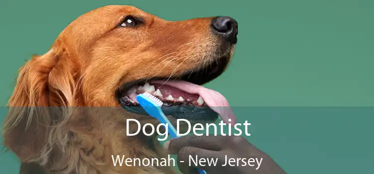 Dog Dentist Wenonah - New Jersey