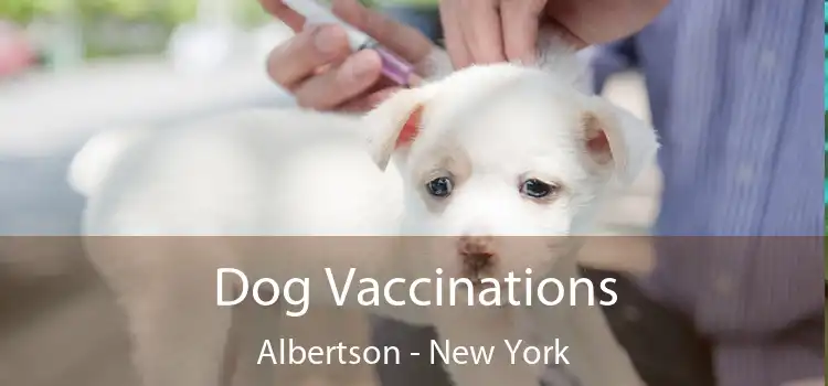 Dog Vaccinations Albertson - New York