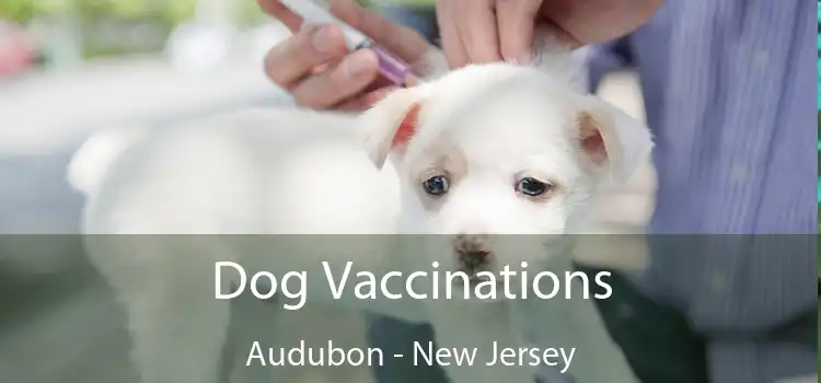 Dog Vaccinations Audubon - New Jersey