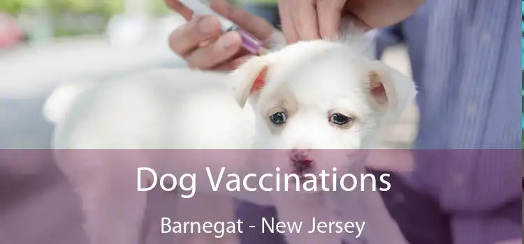 Dog Vaccinations Barnegat - New Jersey