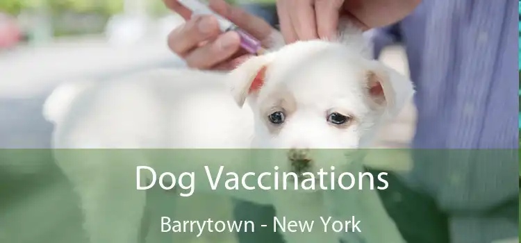 Dog Vaccinations Barrytown - New York