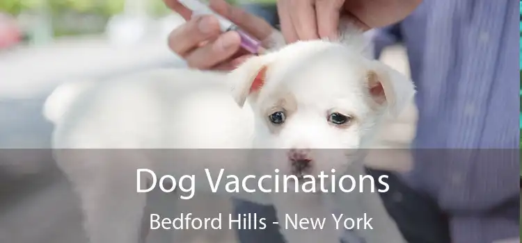 Dog Vaccinations Bedford Hills - New York