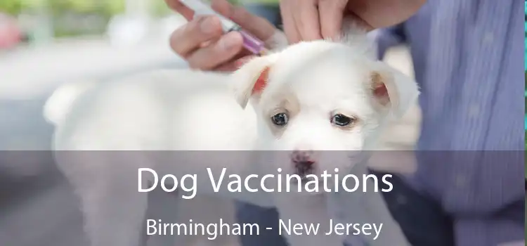 Dog Vaccinations Birmingham - New Jersey