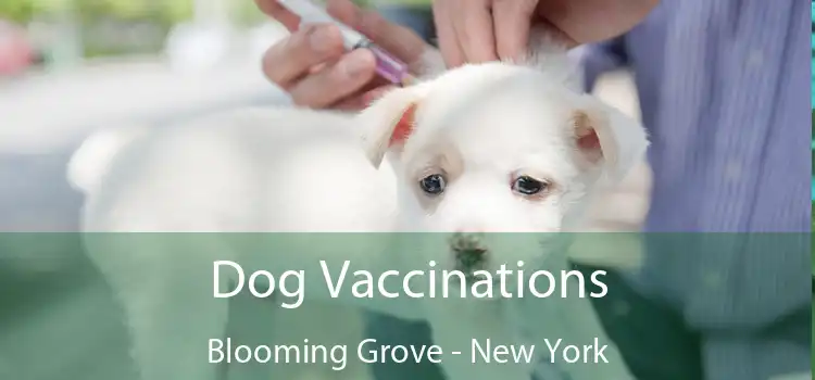 Dog Vaccinations Blooming Grove - New York