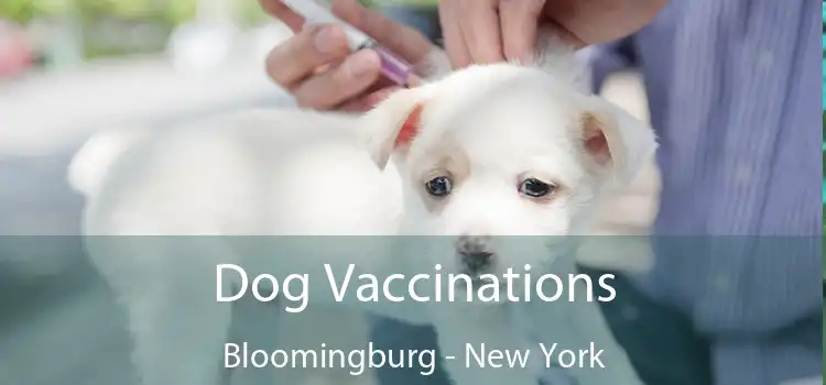 Dog Vaccinations Bloomingburg - New York