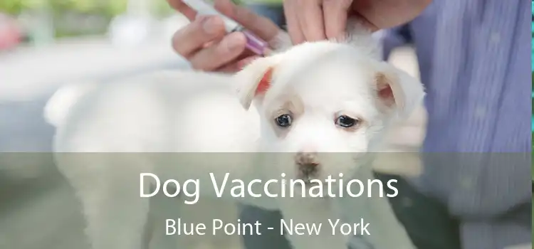 Dog Vaccinations Blue Point - New York