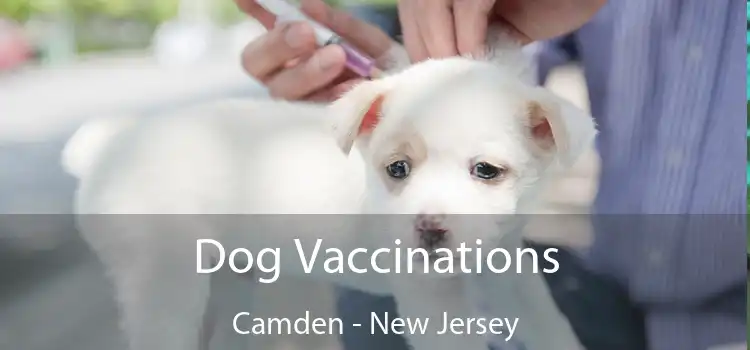 Dog Vaccinations Camden - New Jersey