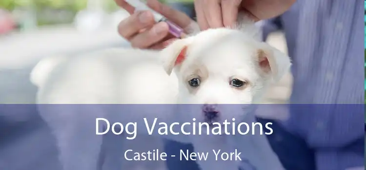 Dog Vaccinations Castile - New York