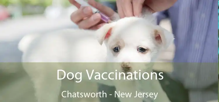 Dog Vaccinations Chatsworth - New Jersey