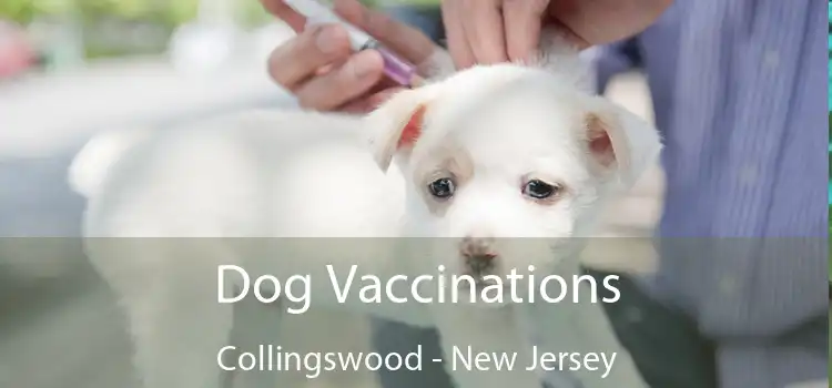 Dog Vaccinations Collingswood - New Jersey