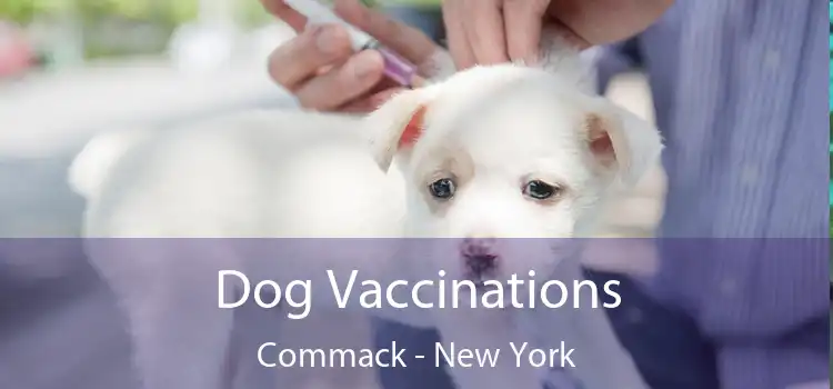 Dog Vaccinations Commack - New York