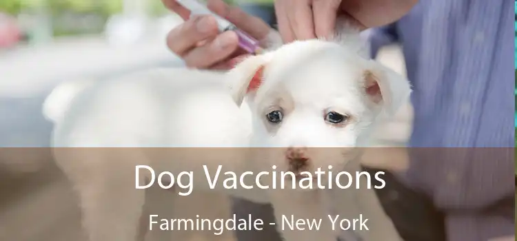 Dog Vaccinations Farmingdale - New York