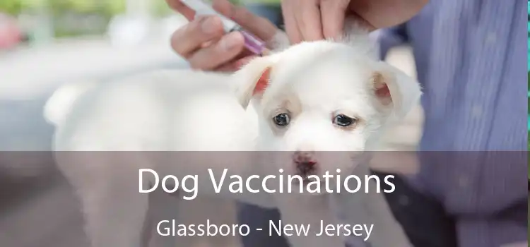 Dog Vaccinations Glassboro - New Jersey