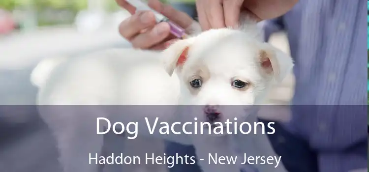 Dog Vaccinations Haddon Heights - New Jersey