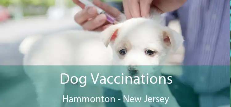 Dog Vaccinations Hammonton - New Jersey