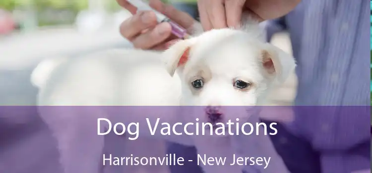 Dog Vaccinations Harrisonville - New Jersey