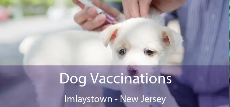 Dog Vaccinations Imlaystown - New Jersey