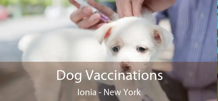 Dog Vaccinations Ionia - New York