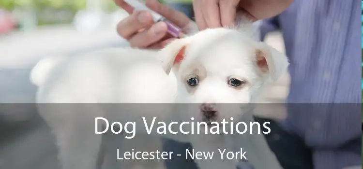 Dog Vaccinations Leicester - New York