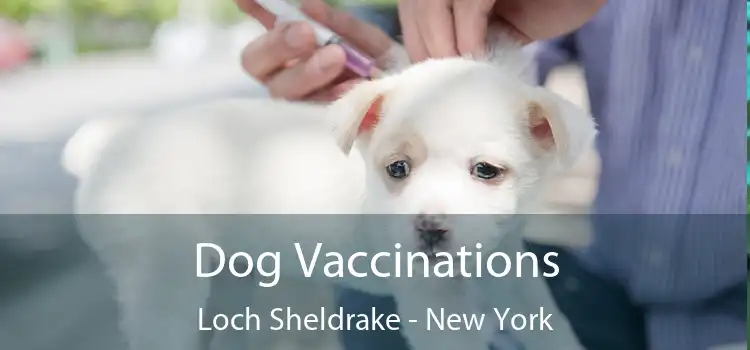 Dog Vaccinations Loch Sheldrake - New York