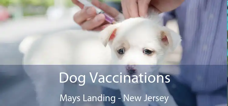 Dog Vaccinations Mays Landing - New Jersey