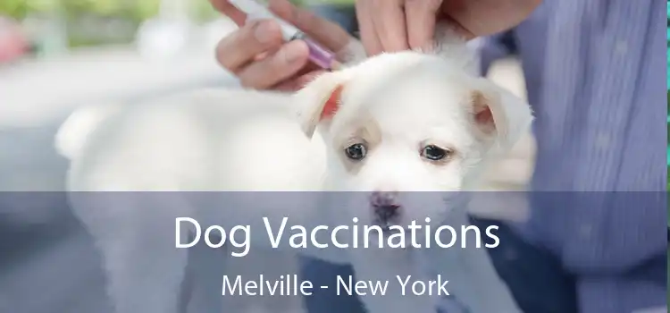 Dog Vaccinations Melville - New York