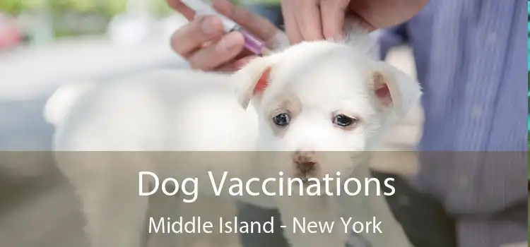 Dog Vaccinations Middle Island - New York