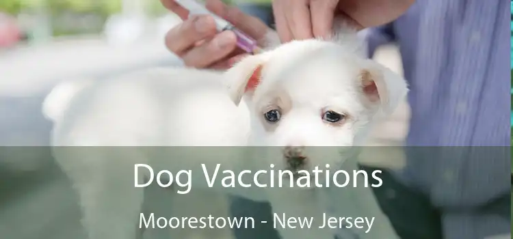 Dog Vaccinations Moorestown - New Jersey