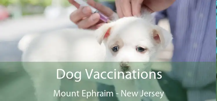 Dog Vaccinations Mount Ephraim - New Jersey