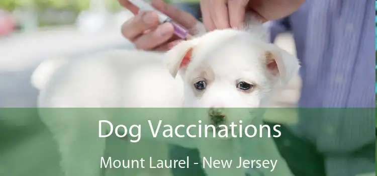 Dog Vaccinations Mount Laurel - New Jersey