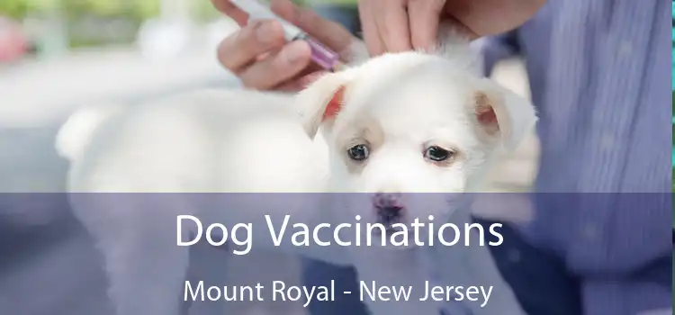 Dog Vaccinations Mount Royal - New Jersey