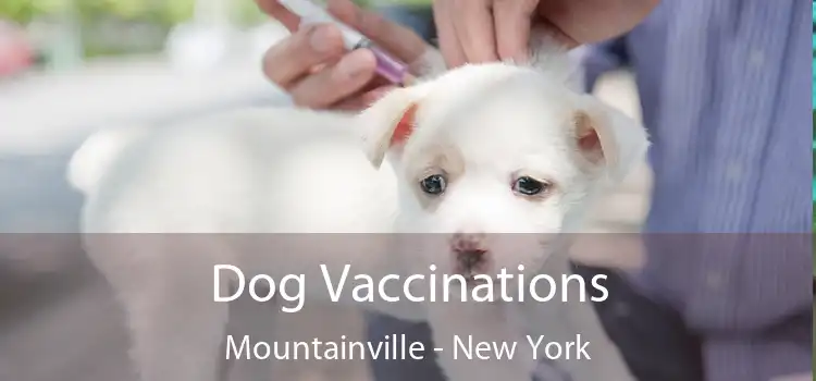 Dog Vaccinations Mountainville - New York