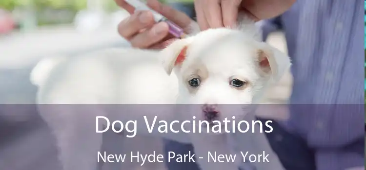 Dog Vaccinations New Hyde Park - New York