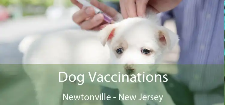 Dog Vaccinations Newtonville - New Jersey