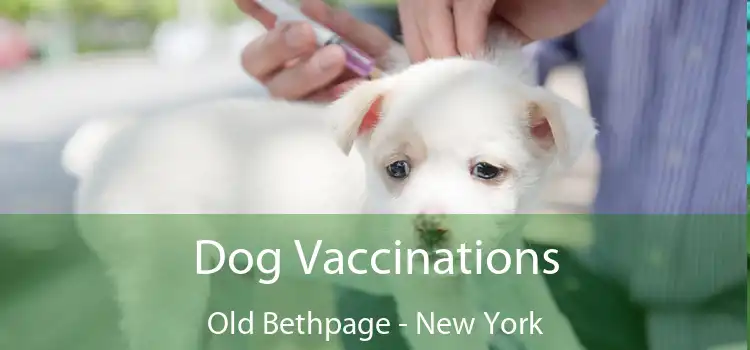 Dog Vaccinations Old Bethpage - New York