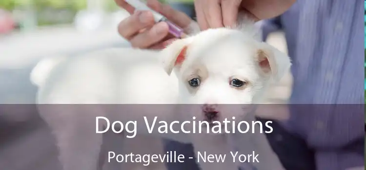 Dog Vaccinations Portageville - New York