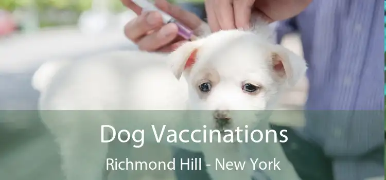 Dog Vaccinations Richmond Hill - New York