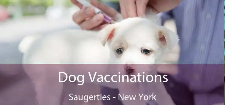 Dog Vaccinations Saugerties - New York