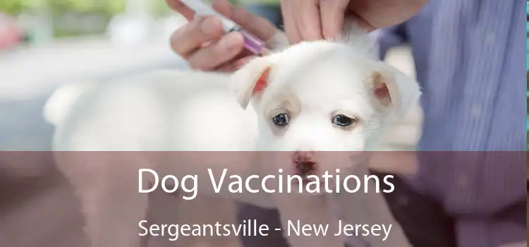 Dog Vaccinations Sergeantsville - New Jersey