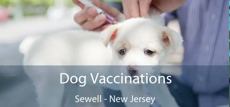 Dog Vaccinations Sewell - New Jersey