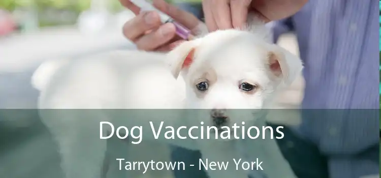 Dog Vaccinations Tarrytown - New York